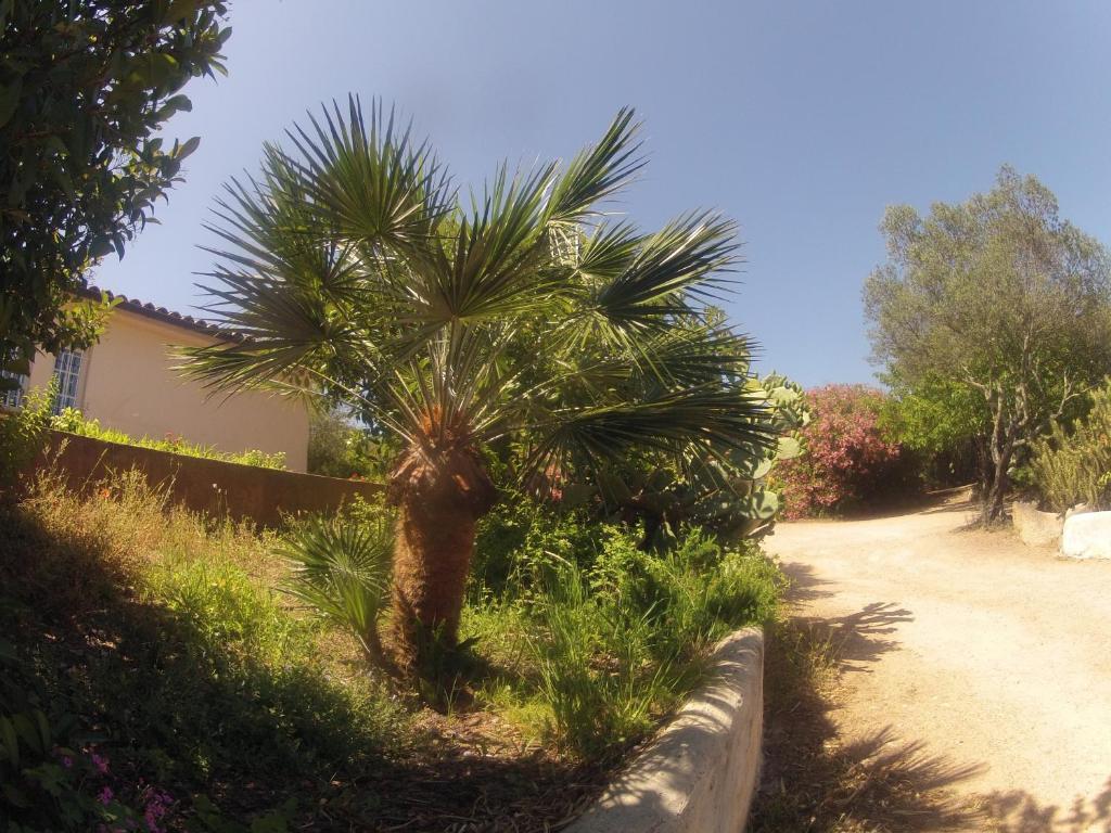 Residence La Beloutiere Porto Vecchio Exterior foto